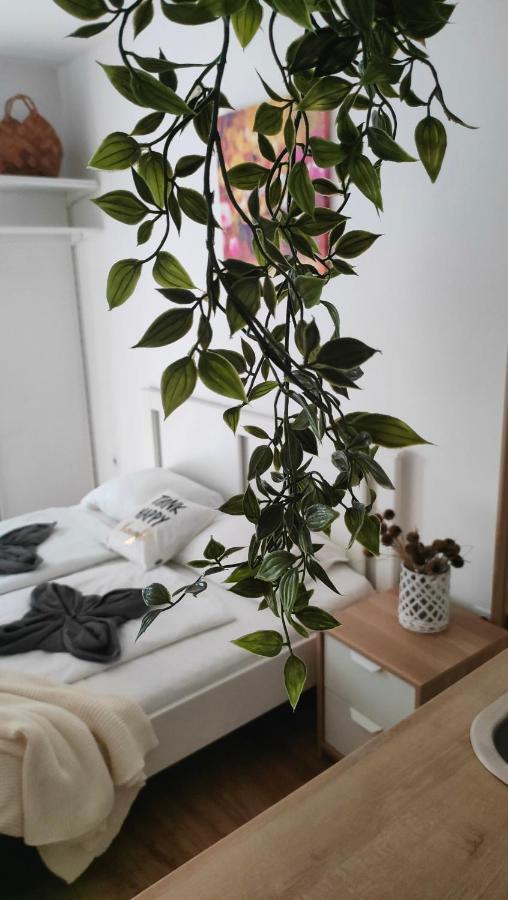 Super Cozy & Central Apartment Budapest Exterior photo